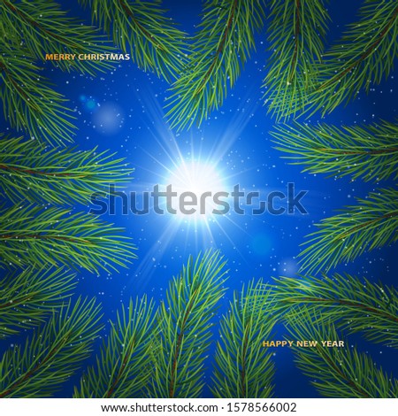 
Winter sky background. Christmas tree branches and sun. Holiday concept with green branch of pine.