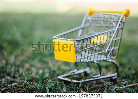 A close up view of a shopping cart on a grass background with a copying area