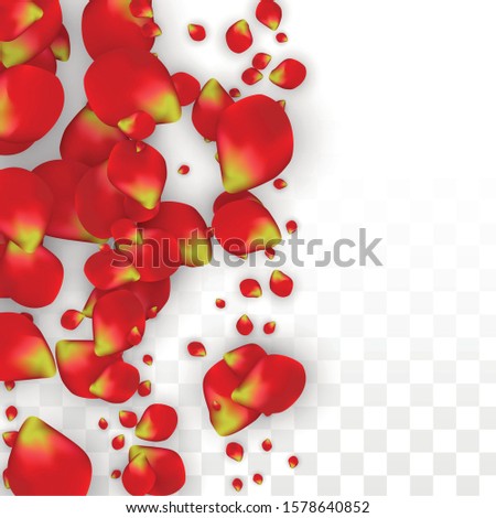 Vector Realistic Red Rose Petals Falling on Transparent Background.  Romantic Flowers Illustration. Flying Petals. Sakura Spa Design. Blossom Rose Confetti. Design Elements for  Web Design.