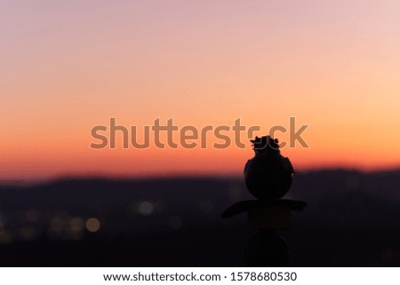 Sunset horizon, Orange sunset,Branch silhouette,