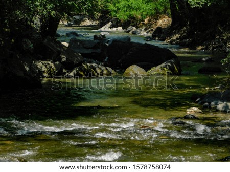 Stream of a small river in the summer