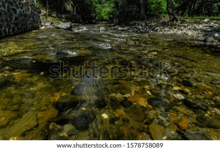 Stream of a small river in the summer