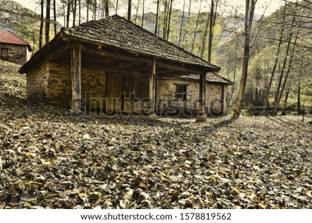 Old abandoned country house from the beginning of the last century - a picture taken in the autumn period