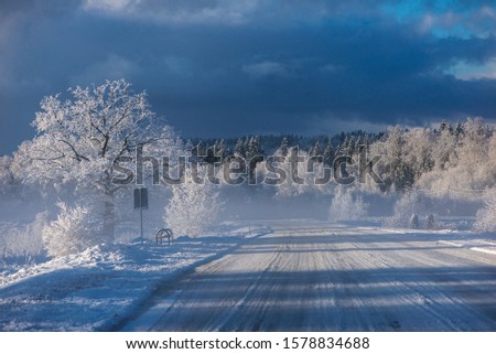 Winter landscape, rural road and white trees covered with snow at Krimulda,latvia