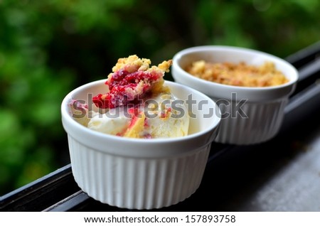 Vanilla ice cream with raspberry crumble in white ceramic cups with green leafy background