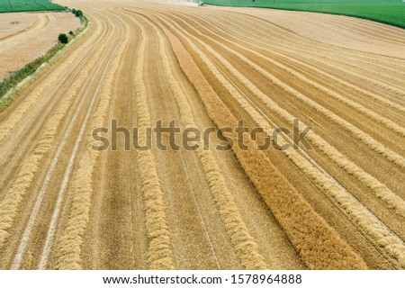 Aerial view Grain crop row straw