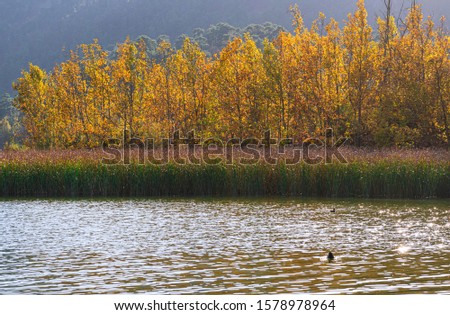 the beautiful autumn panaroma of Kovada Lake, Isparta, Turkey