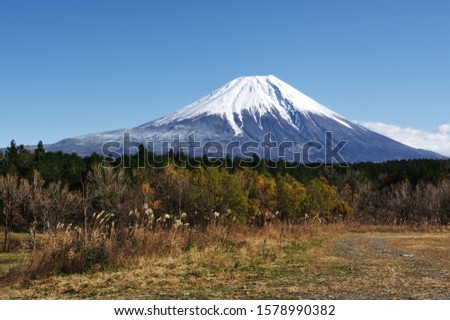 Beautiful Mount Fuji in Fumotoppara Camping Grounds at Fujinomiya, Shizuoka, Japan.