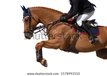 Equestrian Sports, Horse Jumping Event, Isolated on White Background
