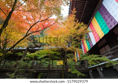 The Eikando Temple is surrounded by colorful autumn foliage