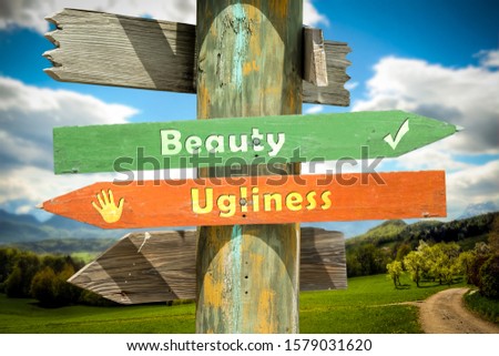 Street Sign the Direction Way to Beauty versus Ugliness