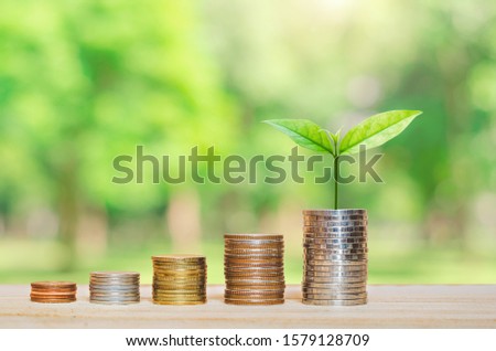 green plant growing on golden coin on wood table in park with blur nature background. business financial banking saving concept. investment profit income. marketing startup success.