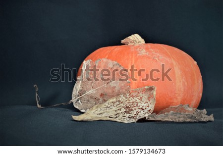 Pumpkin with skeleton leaves in the foreground.