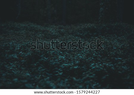 dark and mood forest plants