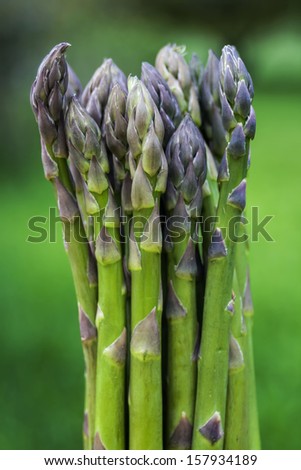 A Bunch of Fresh, Green Asparagus in a Vertical Format.