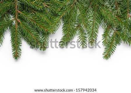border from fir twigs with shadow, on white background