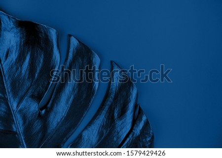 Closeup of trendy blue colored palm leaf on blue background. 