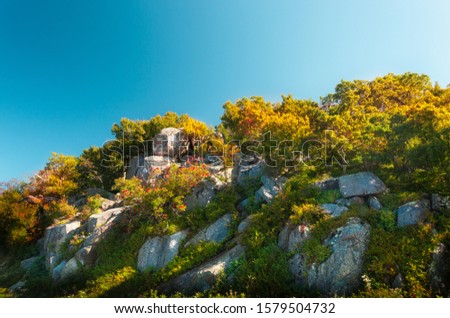 Beautiful Rock Formation with colorful Trees in the Shenandoah National Park in Virginia, USA - sunny Fall Day with blue Sky