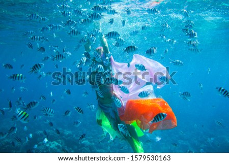 under water shot with zebra fish and woman mermaid
