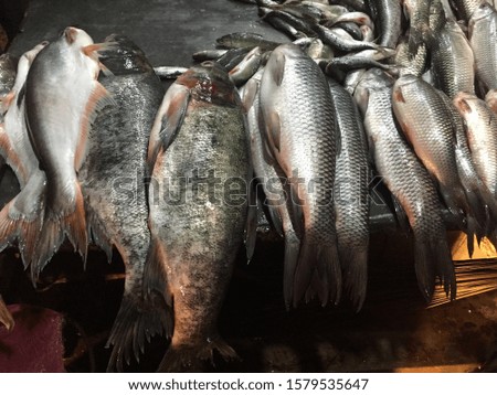 Fish, Protein, Vitamin B12 ,healthy food.Kathmandu, myagdi Nepal,Dec 04/2019.
