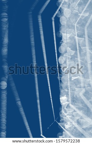 Beautiful cobweb with drops at sunrise. Early morning and cobweb with drops. Trend blue color