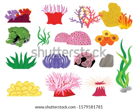 Varian type coral reef and plant vector illustration