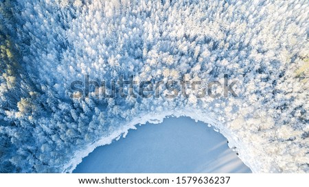 Аerial view of snow covered forest around beautiful lake. Rime ice and hoar frost covering trees. Scenic winter landscape near Helsinki, Finland. Royalty-Free Stock Photo #1579636237