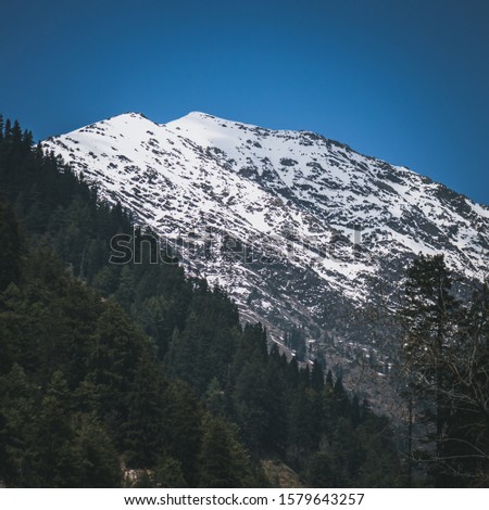 A snow covered mountain peak in the backdrop of a pine forest in Ganderbal, Kashmir