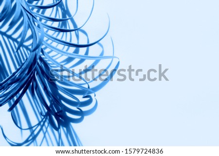 Classic blue color of the year 2020 abstract background of palm leaves on a blue background. 