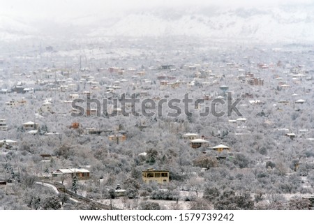 town under a snow and a tree. view of snowy beautiful town