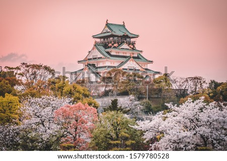 Osaka Castle at sunset, beautiful Japanese temple cherry blossom trees, sakura season, autumn Japan. Royalty-Free Stock Photo #1579780528
