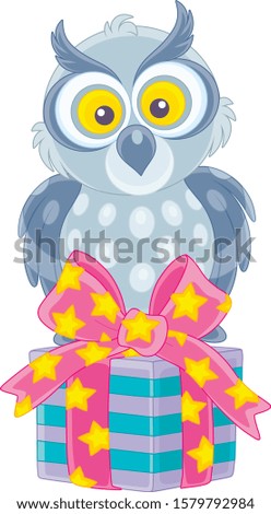 Funny grey owl sitting on a decorated box of a holiday gift, vector cartoon illustration on a white background