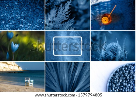 Collage of blue abstract and nature pictures and backgrounds in serene shade of indigo hue.
