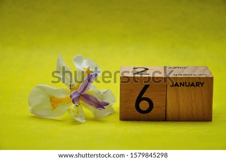6 January on wooden blocks with an african iris on a yellow background