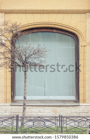 the window of a house with a dead tree in front of it