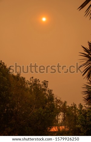 Australian bushfire: trees silhouettes and smoke from bushfires covers the sky and glowing sun barely seen through the smoke. Catastrophic fire danger, NSW, Australia Royalty-Free Stock Photo #1579926250