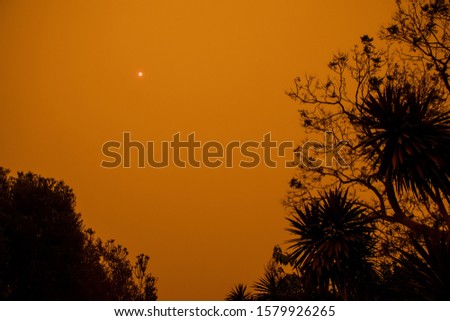 Australian bushfire: trees silhouettes and smoke from bushfires covers the sky and glowing sun barely seen through the smoke. Catastrophic fire danger, NSW, Australia Royalty-Free Stock Photo #1579926265
