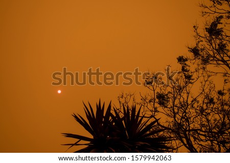 Australian bushfire: trees silhouettes and smoke from bushfires covers the sky and glowing sun barely seen through the smoke. Catastrophic fire danger, NSW, Australia Royalty-Free Stock Photo #1579942063
