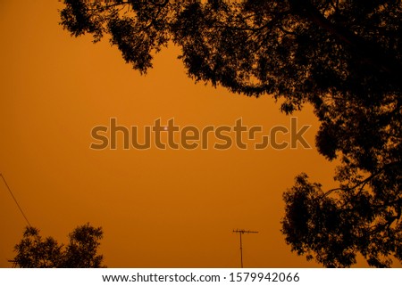 Australian bushfire: trees silhouettes and smoke from bushfires covers the sky and glowing sun barely seen through the smoke. Catastrophic fire danger, NSW, Australia Royalty-Free Stock Photo #1579942066