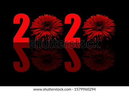 Happy new year 2020 concept with two red chrysanthemum and shadow background