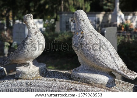 Dove statues on the tombstone in the public cemetery