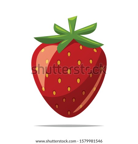 Strawberry fruit vector isolated illustration