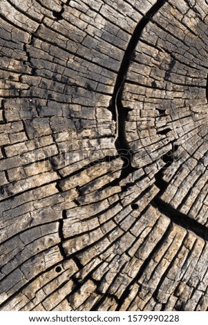 old wooden surface worn with time and destroyed by the conditions in nature