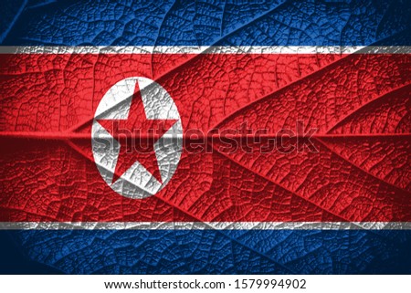 national flag of north korea with texture. template for design
