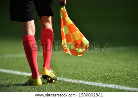 Referee with flag on the field