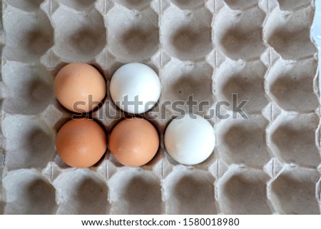 White and Brown Eggs in paper egg panel