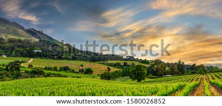 Panorama shot of Constantia winelands, cape town Royalty-Free Stock Photo #1580026852