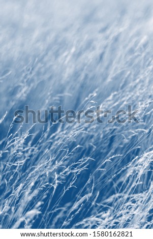 Blue Color toned floral background. Blue toned trend web banner background