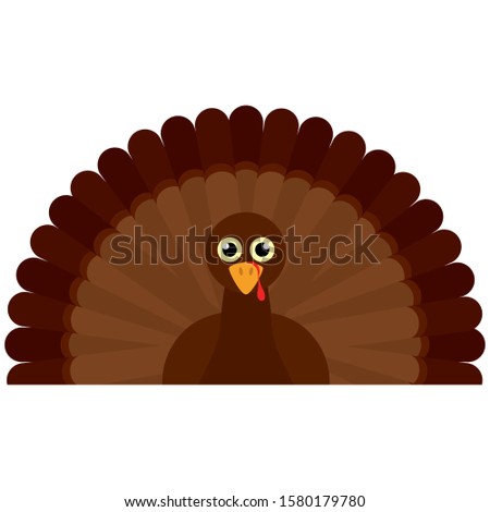 Isolated turkey image. Thanksgiving season - Vector illustration design