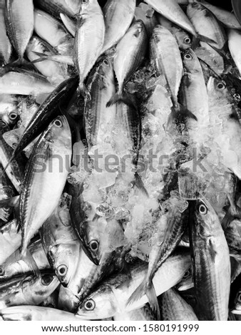 Fresh fishes in a Local market in Asia, Black​ and​ white​ photography​ 
